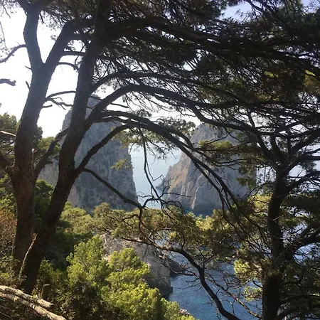 Cavalluccio Marino * Capri