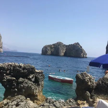 Cavalluccio Marino *