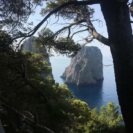 Cavalluccio Marino Capri
